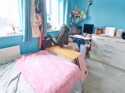 Picture 13